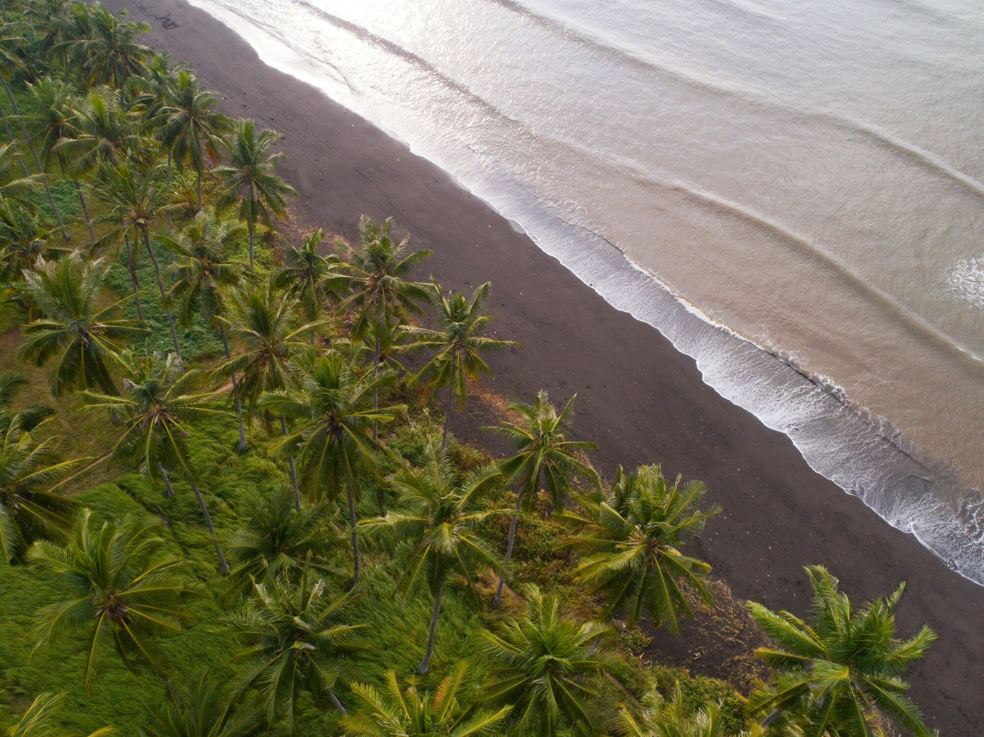 Dialoog Banyuwangi Hotell Exteriör bild